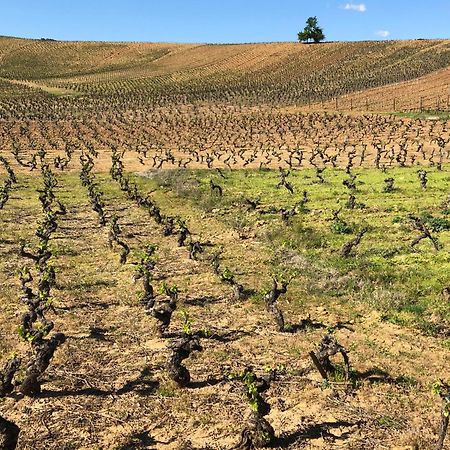Boutique Finca Esencial Villafranca Del Bierzo Εξωτερικό φωτογραφία