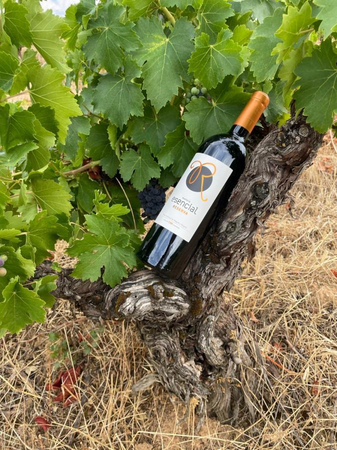 Boutique Finca Esencial Villafranca Del Bierzo Εξωτερικό φωτογραφία