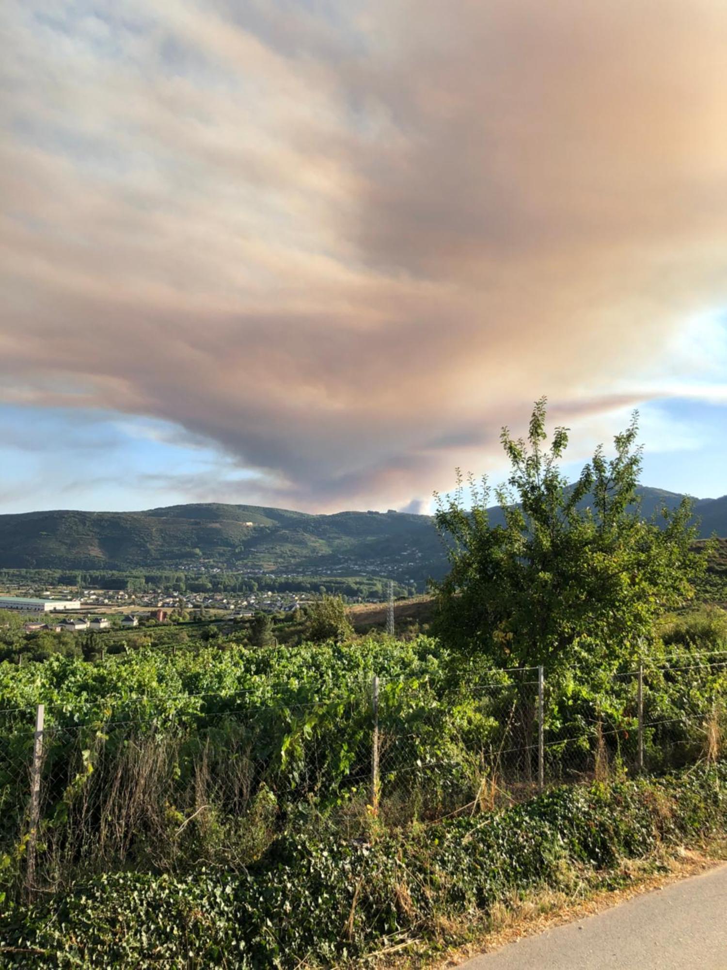 Boutique Finca Esencial Villafranca Del Bierzo Εξωτερικό φωτογραφία