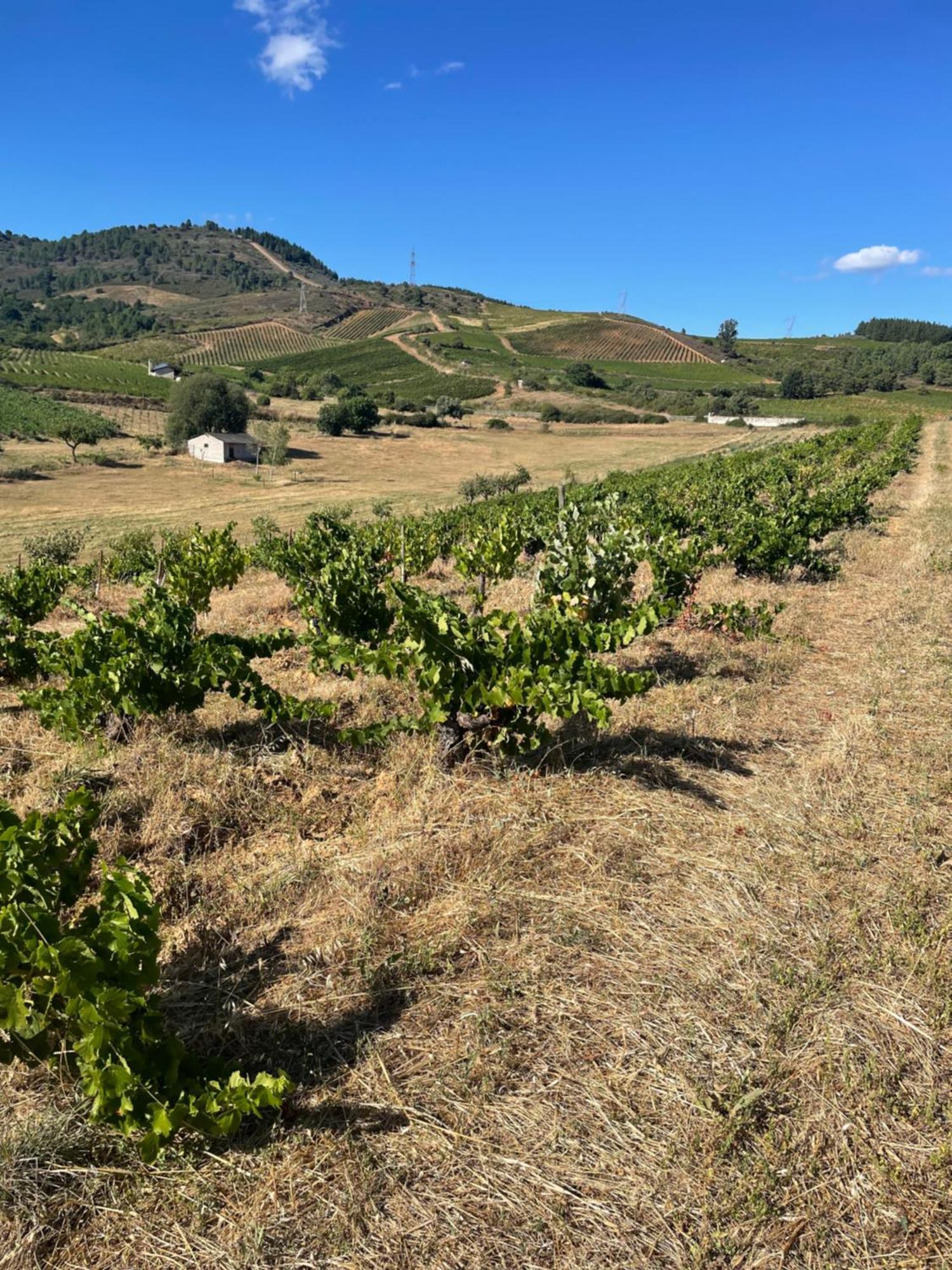 Boutique Finca Esencial Villafranca Del Bierzo Εξωτερικό φωτογραφία