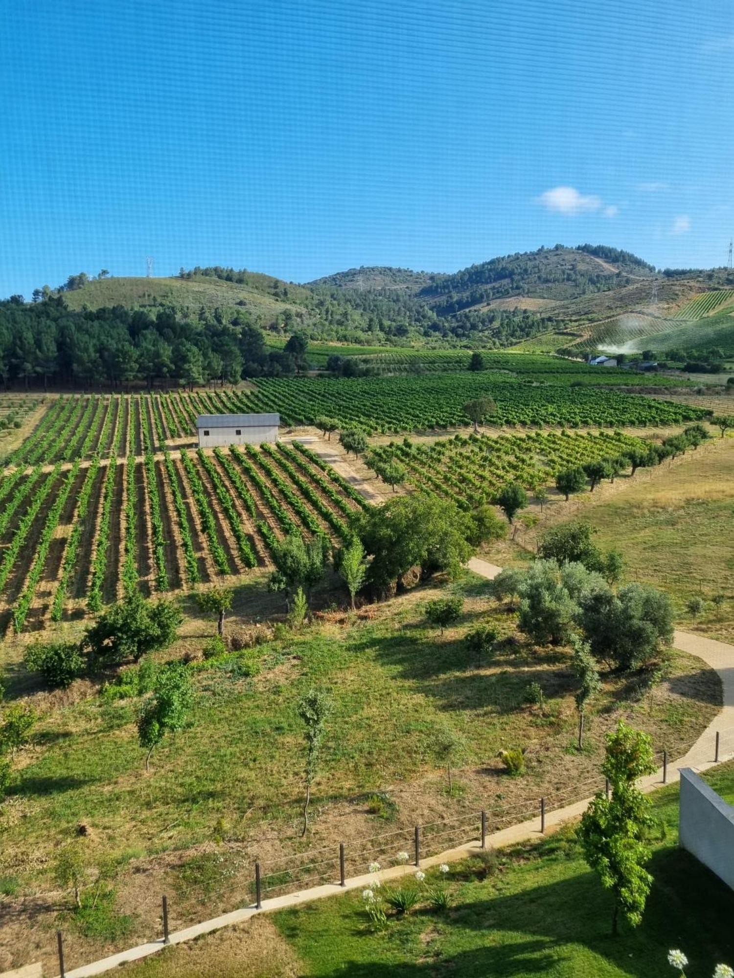 Boutique Finca Esencial Villafranca Del Bierzo Εξωτερικό φωτογραφία