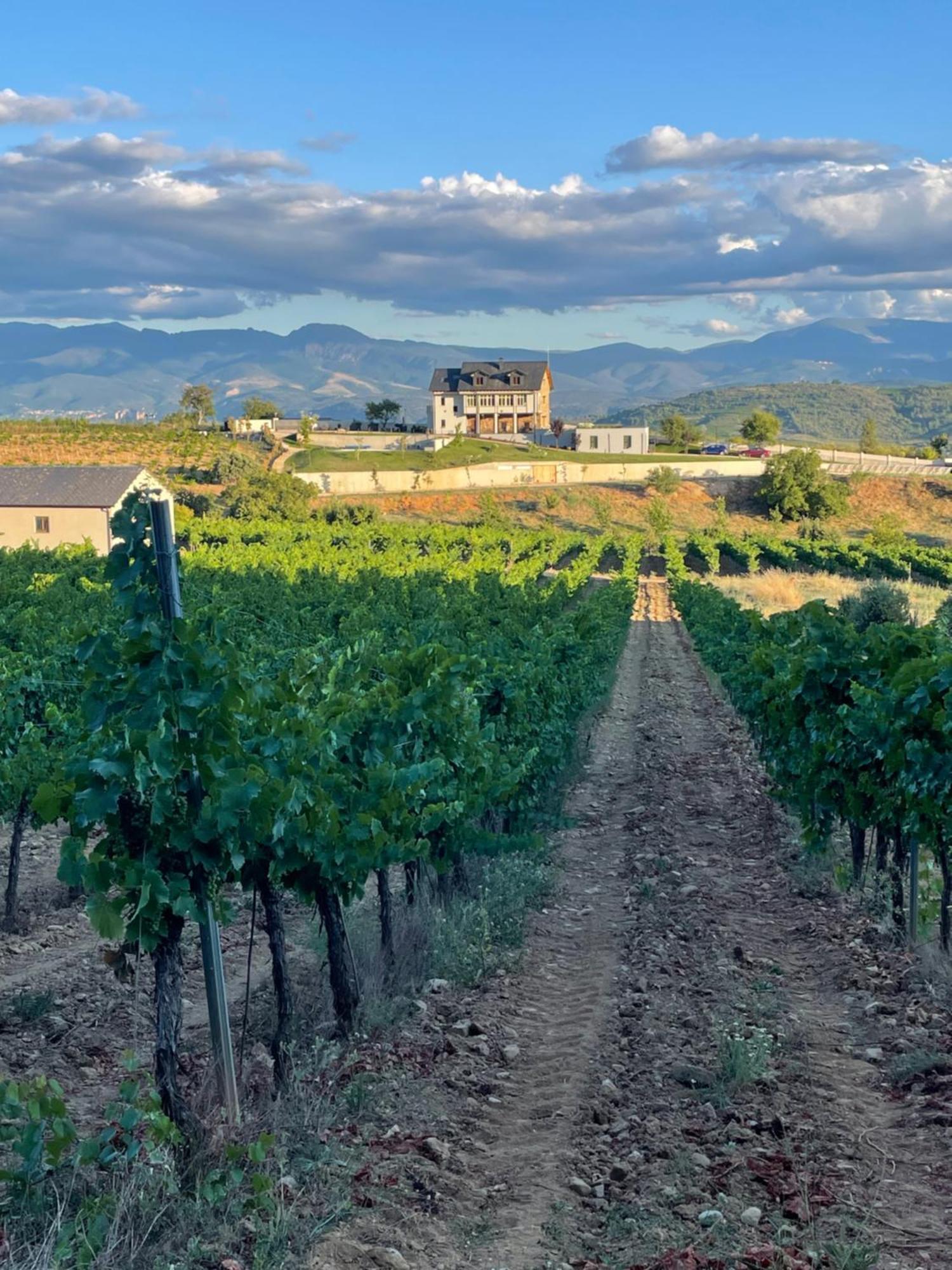 Boutique Finca Esencial Villafranca Del Bierzo Εξωτερικό φωτογραφία